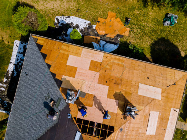 Best Roof Waterproofing Services  in Braddock, PA