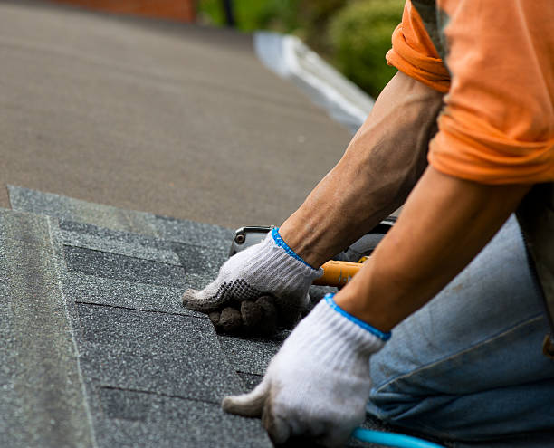 Best Roof Leak Repair  in Braddock, PA