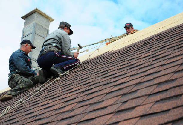 Best Gutter Installation and Roofing  in Braddock, PA